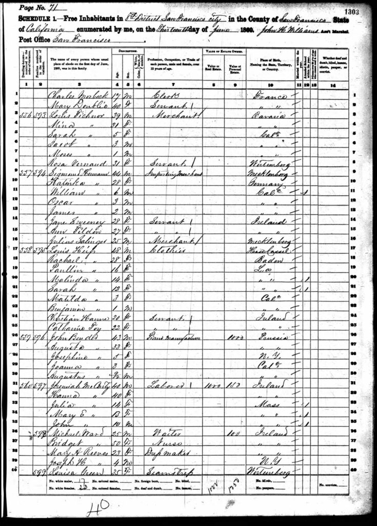 Lazarus Dinkelspiel - Census - 1880