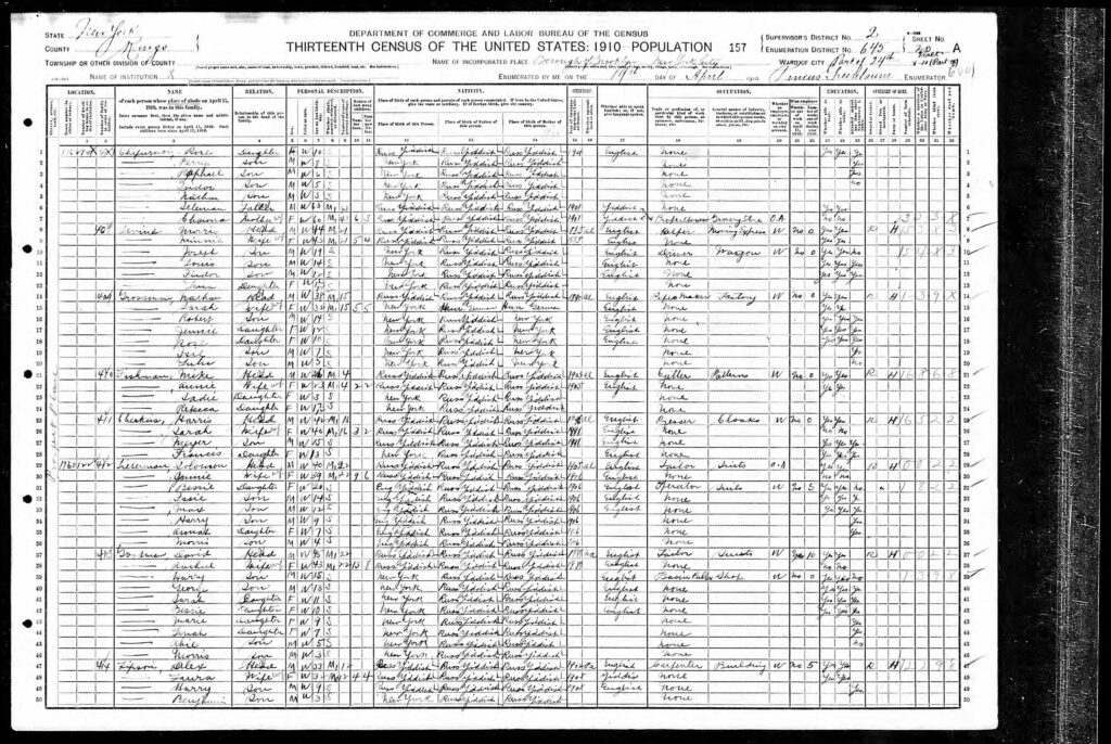 Alex Lipson and Family in NY Federal Census - 1910 - page 1 - see lines 47-50