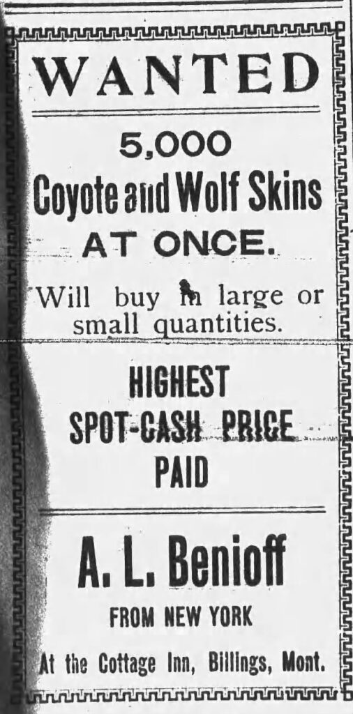 Wanted - 5000 Wolf Skins At Once - Alexander Benioff _ 1900