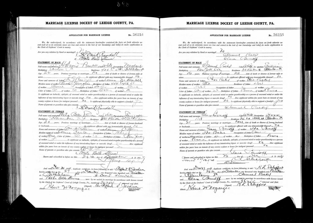 Marriage Application of Clara Benioff and Samuel Rickel - 1919