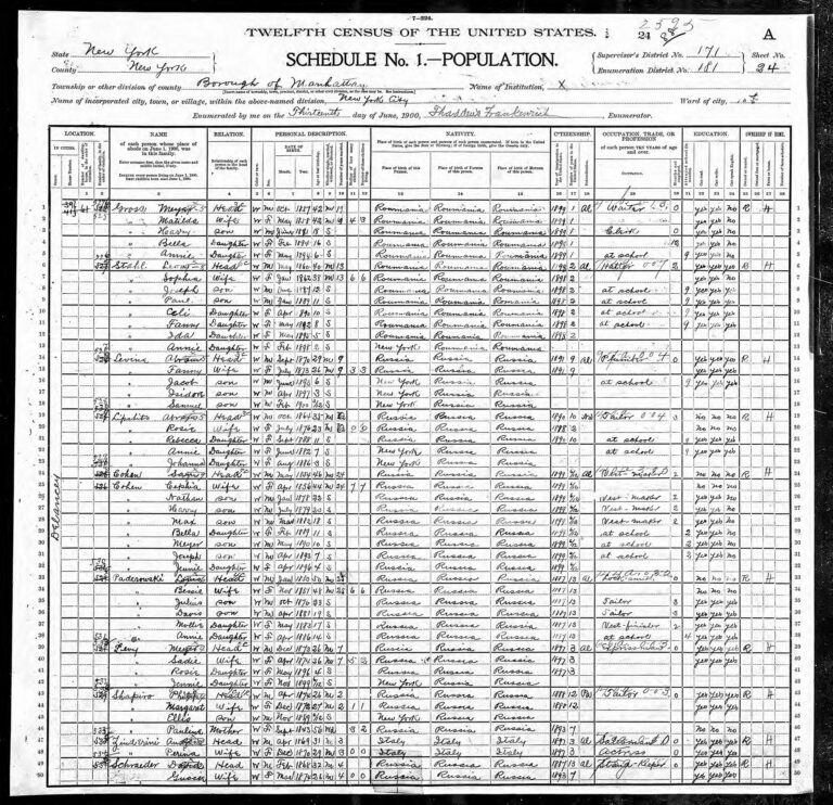 Meyer Levy and family in the 1900 Census in Manhattan, NY