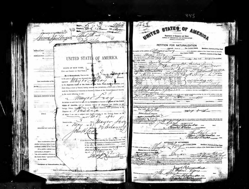 Meyer Levy's Petition for Naturalization - 1910