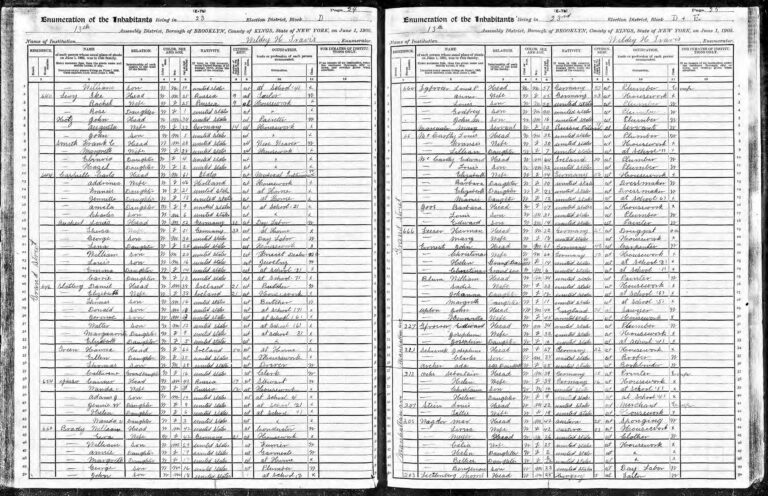 1905 NY State Census: Ike Levy and family are on lines 2,3,and 4